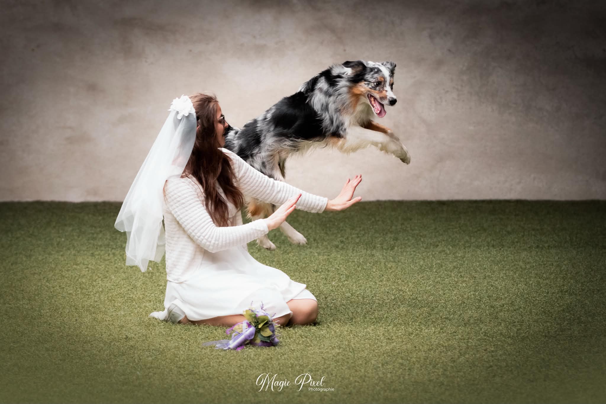 Dog dancing performance