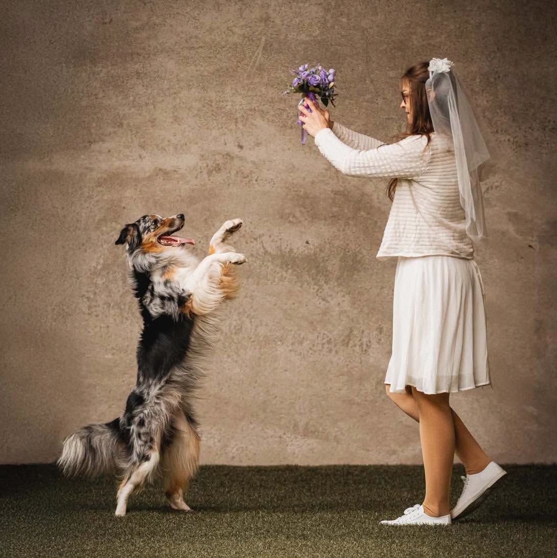 Dog dancing routine